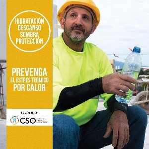 afiche 2 estres termico.jpg